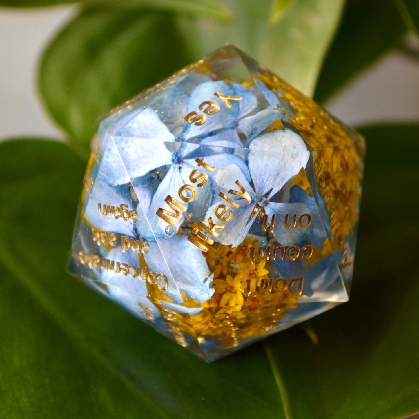 Summer Blues | Divination D20