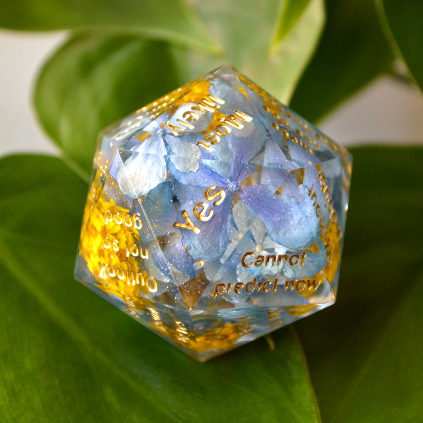 Summer Blues | Divination D20