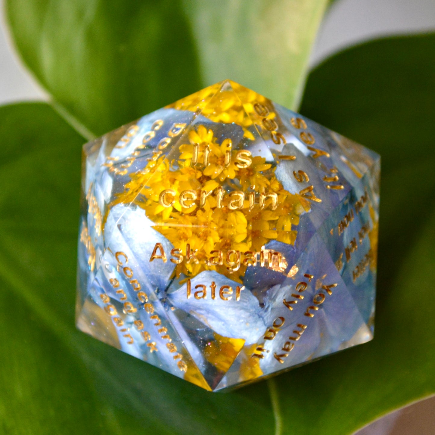 Summer Blues | Divination D20