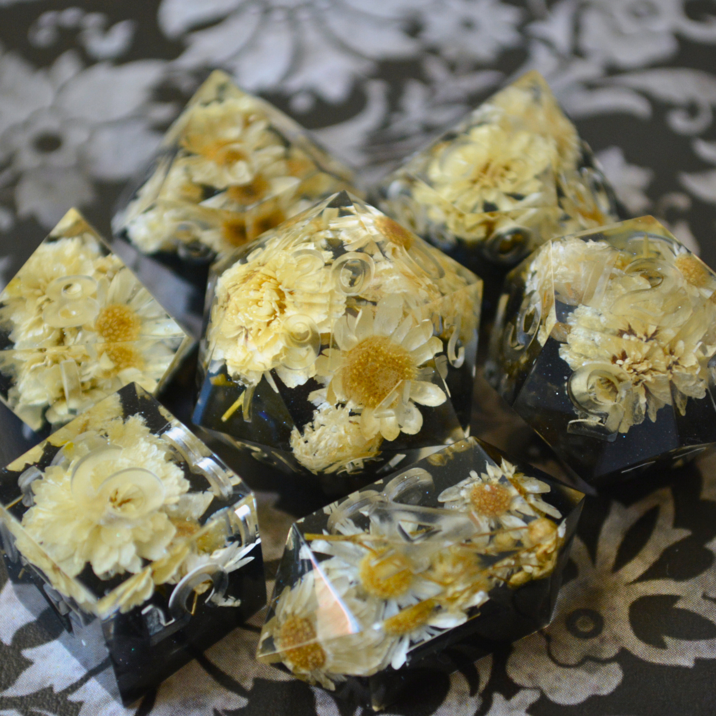 Dark Academia (Uninked)