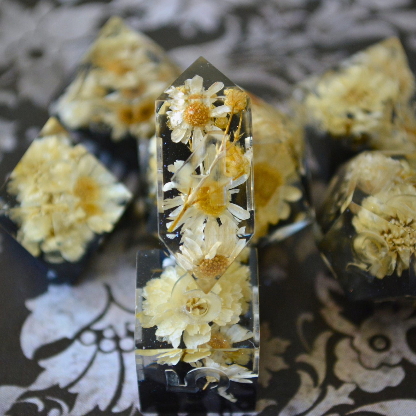 Dark Academia (Uninked)