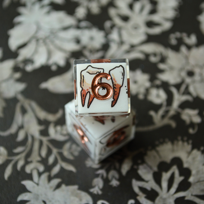 Extraction | d6 Pair